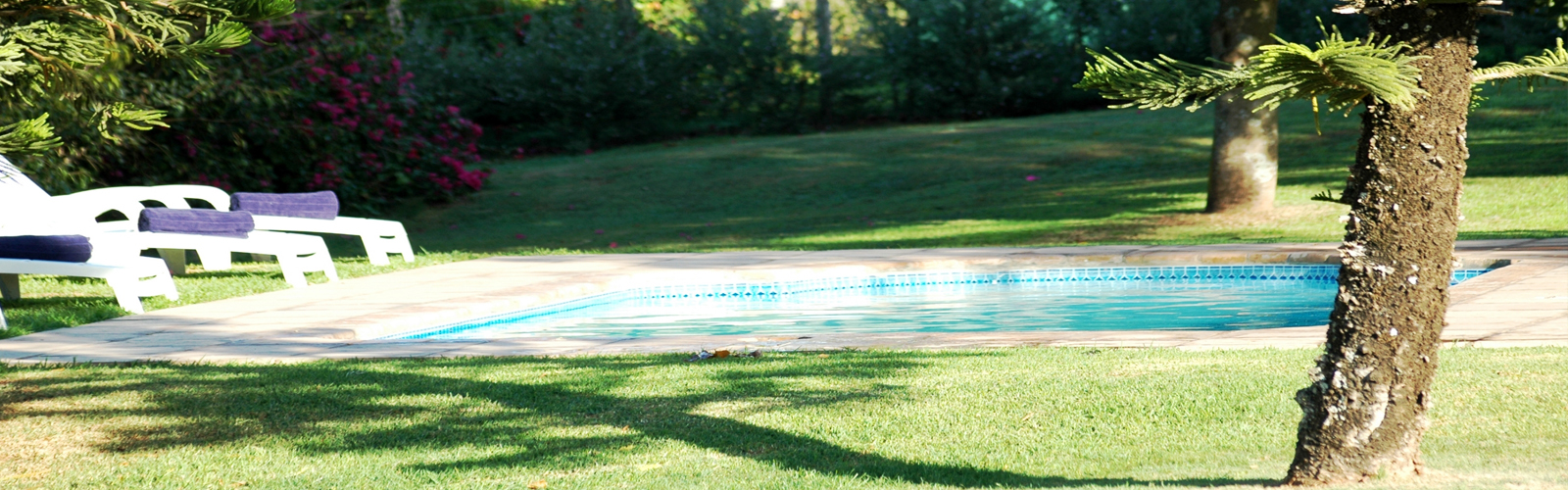 Swimming Pool on Property